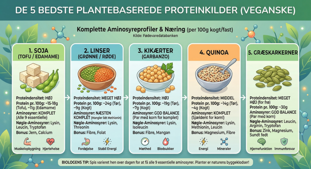AI-genereret infografik baseret på biologiske data fra DanskPlantemad.der viser de 5 bedste veganske proteinkilder: Soja, linser, kikærter, quinoa og græskarkerner med proteinindhold og aminosyreprofiler. AI-genereret infografik baseret på biologiske data fra DanskPlantemad.